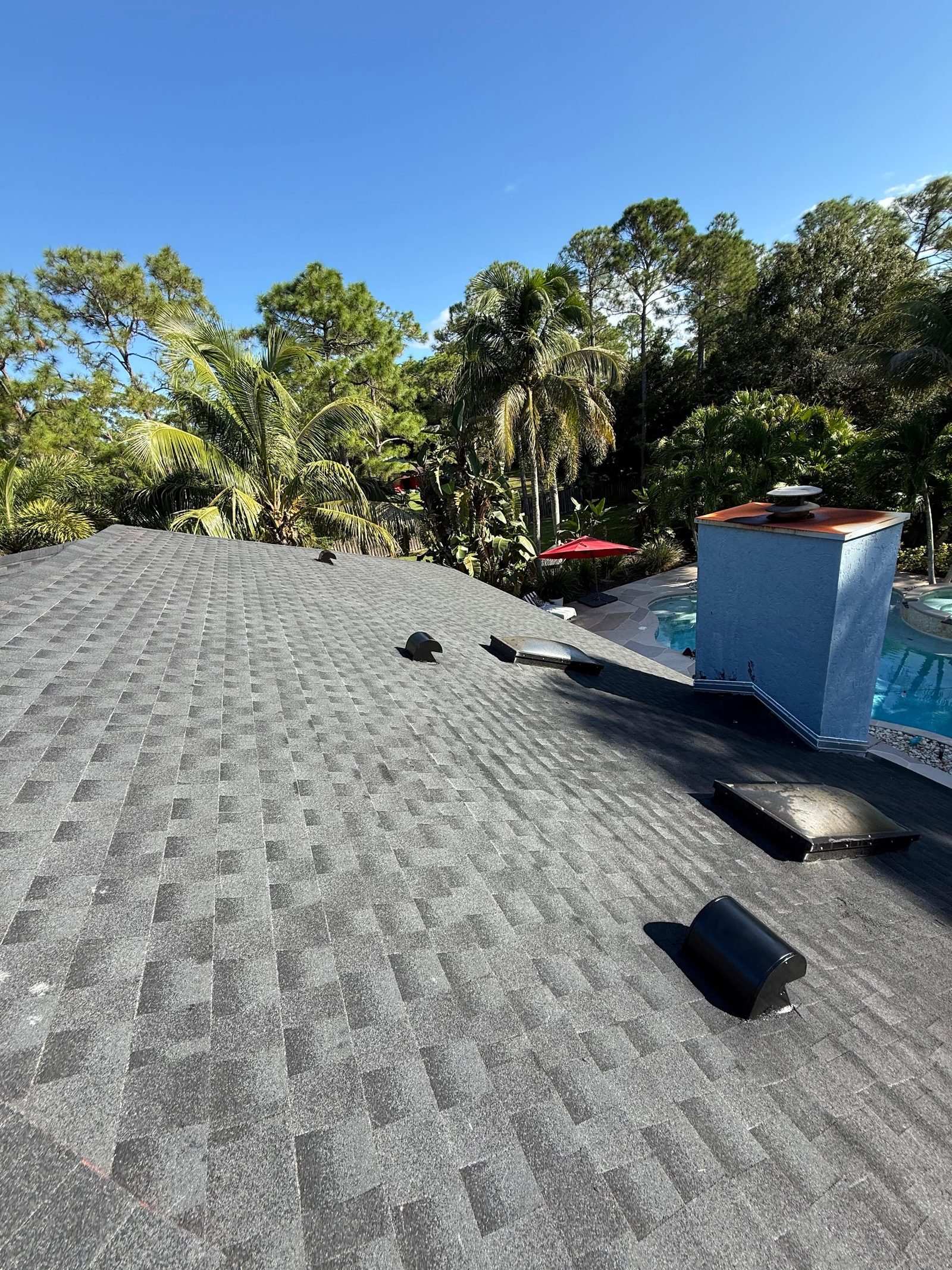 Florida home with shingle roof and pool in the backyard